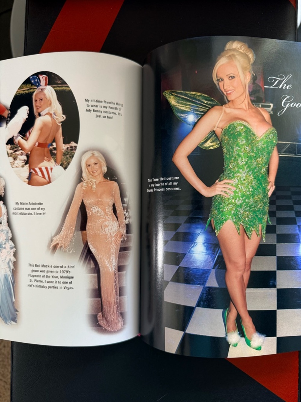 The Girls Next Door Book - Picture 5 of 6